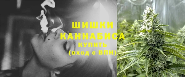 шишки Володарск