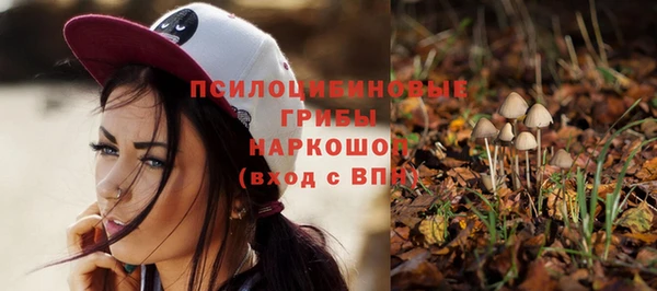 шишки Володарск