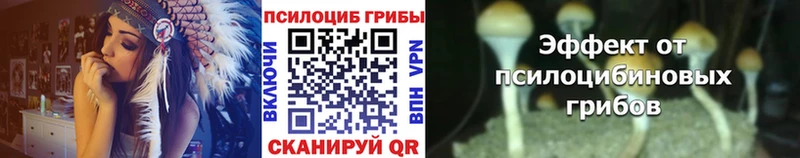 Псилоцибиновые грибы мицелий  Химки 